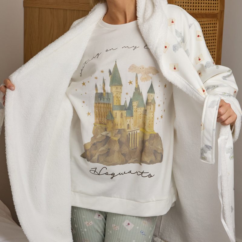 2000009123 Hogwarts Lounge Set 2fef374c 092a 4980 9ee4 cbd03e2b2ead