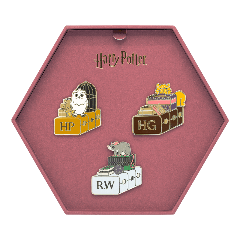 2000009381 BacktoHogwartsTrunks C