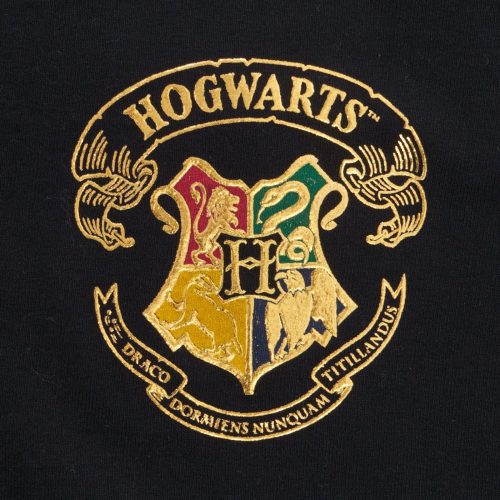 Hogwarts FLC1