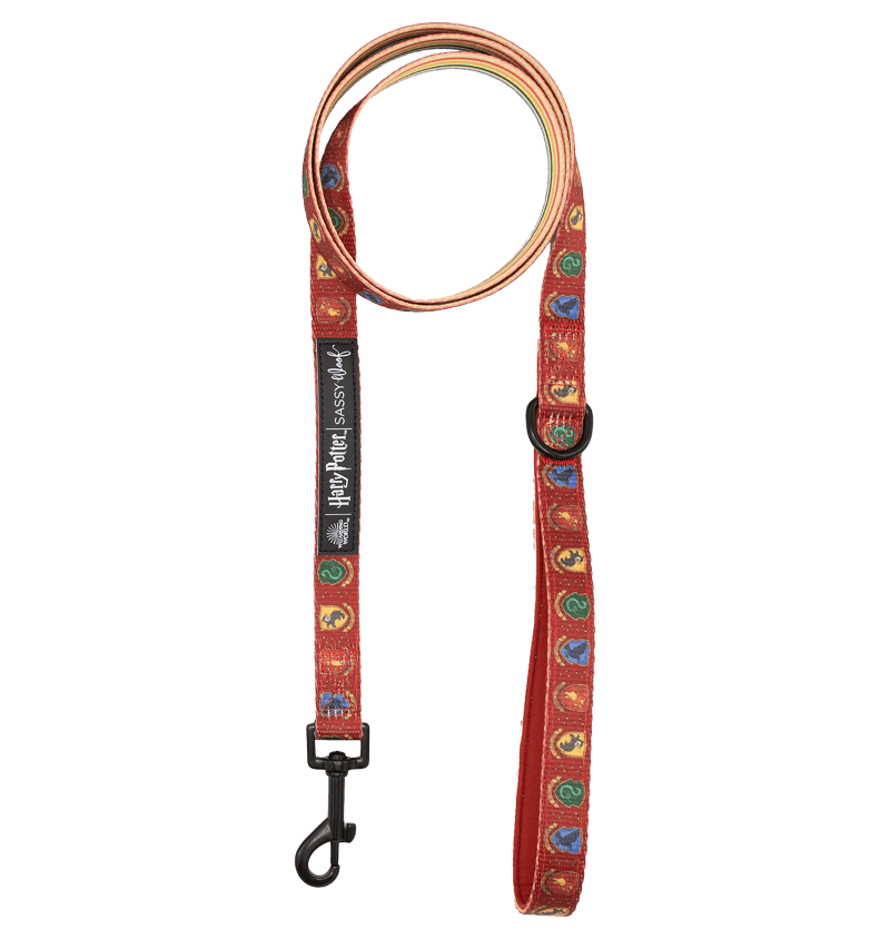 SassyWoof Leash1