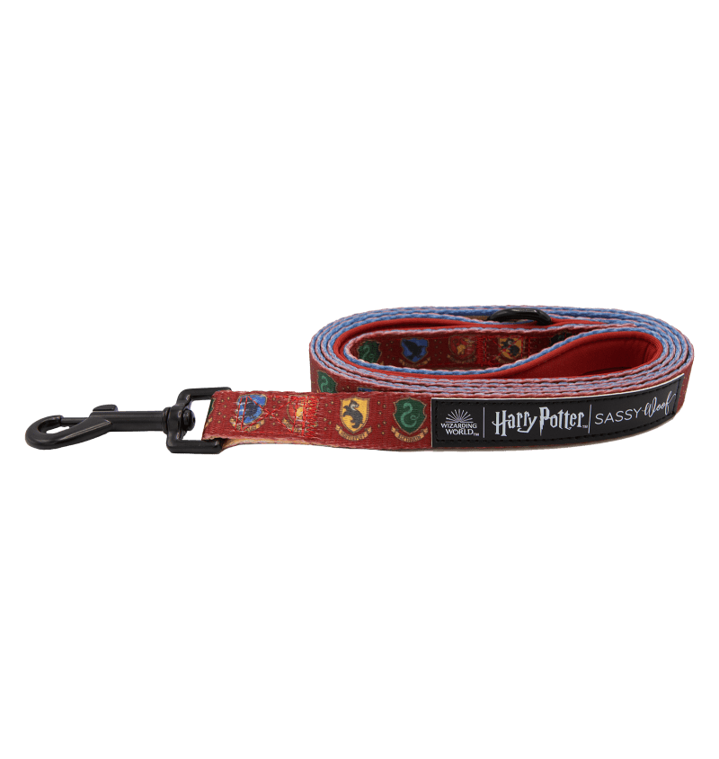 SassyWoof Leash3