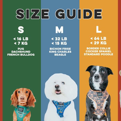 Sizing